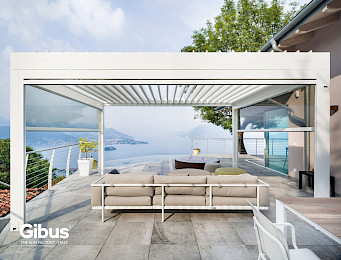 gibus_joy_8.jpg