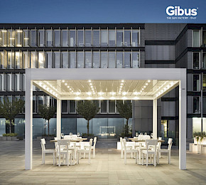 gibus_twist_5.jpg